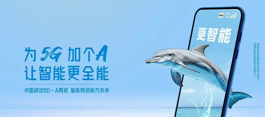 龙港区龙港区双龙街道 移动宽带